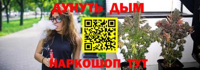 дурь Кингисепп