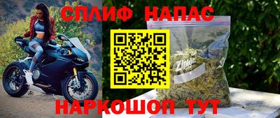 стаф Кинель