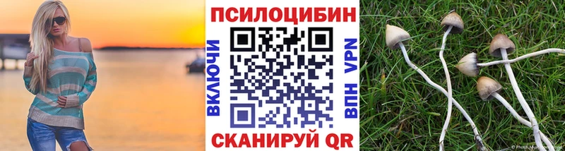 Псилоцибиновые грибы MAGIC MUSHROOMS  Мыски 