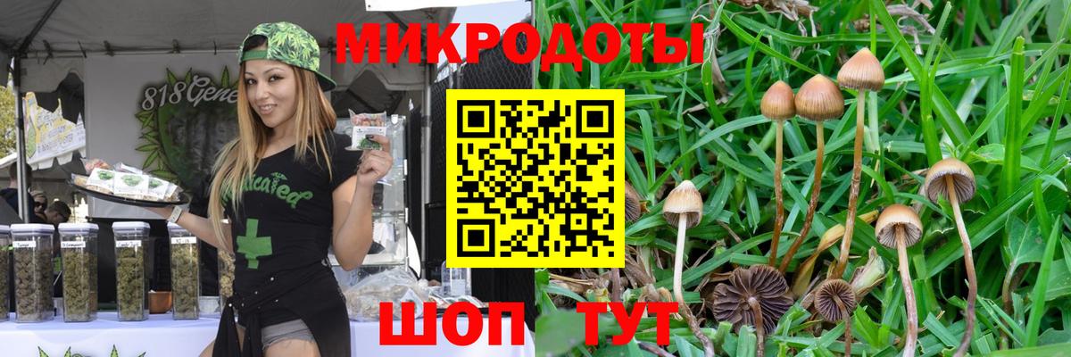 Галлюциногенные грибы MAGIC MUSHROOMS  Вход с VPN  Псилоцибиновые грибы мицелий  Мыски 